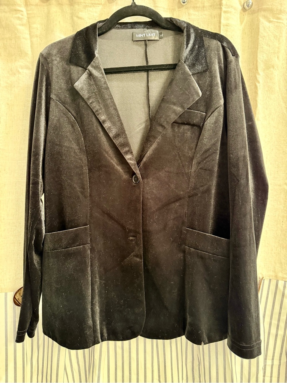 Mint Limit Velvet Blazer in Black